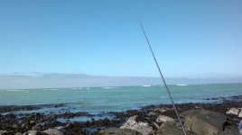 2013-01-13-361.jpg