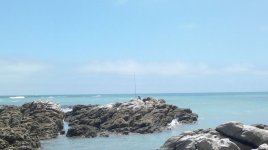 2013-01-13-365.jpg