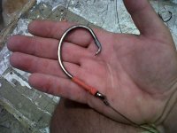 IMG-20130104-00371.jpg