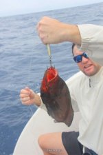 IMG_2929.JPG