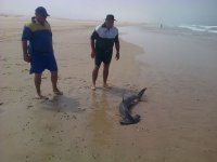 IMG-20130306-00137.jpg