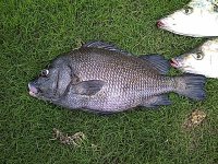 IMG-20130126-01056.jpg