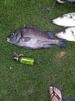 IMG-20130126-01053.jpg