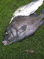 IMG-20130126-01052.jpg