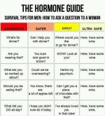 WOMEN & WINE @@@@@@@@@@.jpg