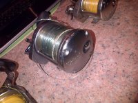 Somerset West-20130624-01171.jpg