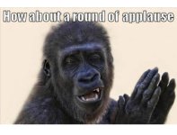 APPLAUSE.jpg