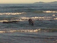 IMG-20130617-01364.jpg