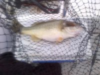 IMG-20120905-00142.jpg