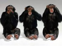 See no evil.jpg