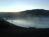Piets Dam.jpg