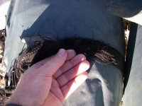 Black fibre on fingers.jpg
