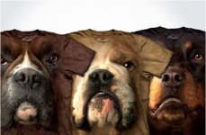 collection-of-awesome-things.-part-5-61-pics_32.jpg