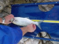 DSCN0041 (FILEminimizer).JPG