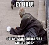 Stella.jpg