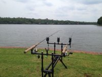 Rods.JPG