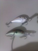 IMAG0080.jpg