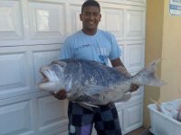 Fish.jpg