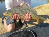 Fish 3.jpg