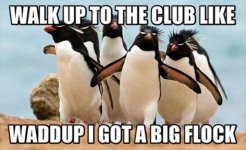 funny-animal-pictures-28 copy.jpg