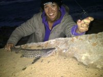 leopard shark.jpg