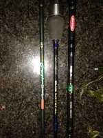 Bass 4.jpg