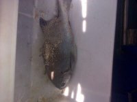IMG-20131008-WA0000.jpg