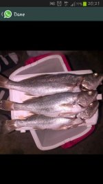IMG-20131016-WA0000.jpg