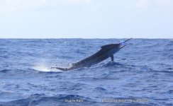 IMG_5778.JPG