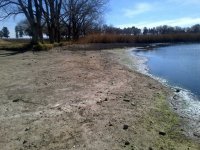 DD Aug 2013 (11).jpg