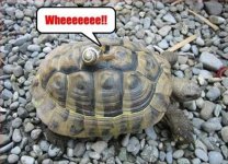 funny-pictures-522.jpg