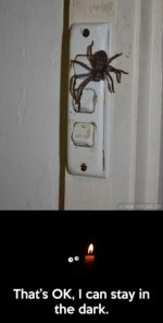 funny-pictures-621.jpg