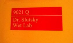 funny-names-20.jpg