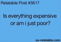 funny-quotes-is-everything-expensive.jpg