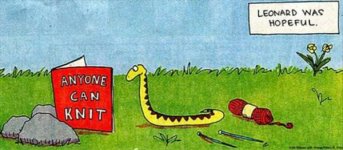 funny-snakes.jpg