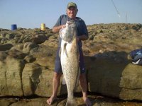 algy salmon2.jpg