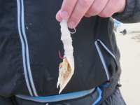 IMG_3979.JPG