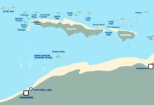 Reef-chart.jpg