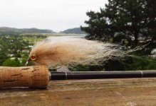 Kob fly sh.jpg