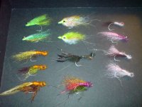 FLIES 009.JPG