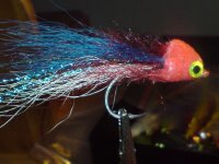 FLIES 015.JPG