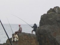IMG_0401.JPG