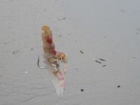 IMG_4047.JPG