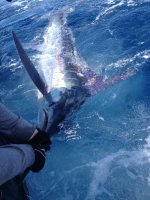 IMG_3082.jpg