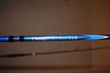 IMG_1417.JPG