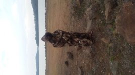 20150611_164046.jpg