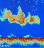 2015-08-10 10.29.42.jpg