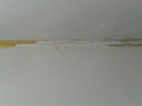 Close up crack.jpg
