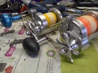 IMG-20150321-04661.jpg