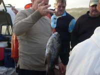 SDC13221.JPG